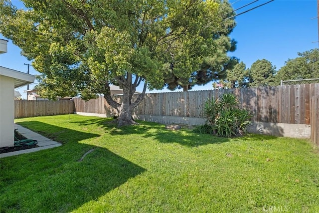 view of yard featuring a fenced backyard