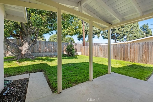 view of yard with a patio and a fenced backyard