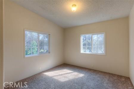 carpeted spare room featuring a textured ceiling, vaulted ceiling, and a wealth of natural light