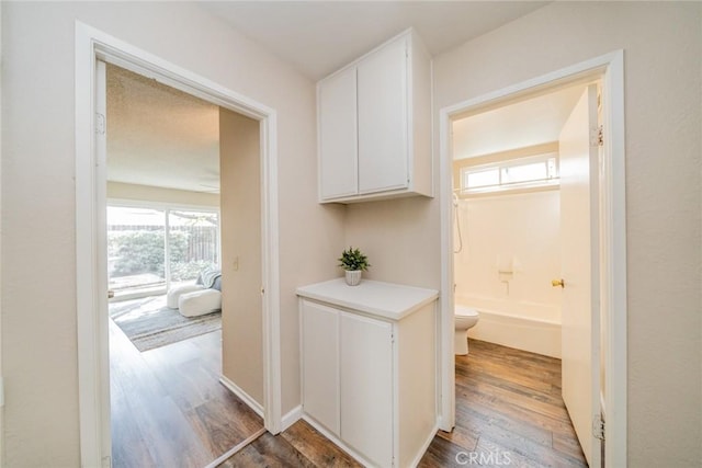 corridor featuring a wealth of natural light and wood finished floors