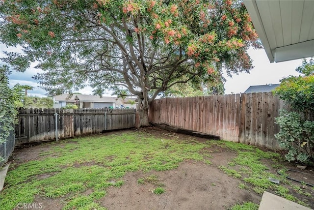 view of yard featuring a fenced backyard