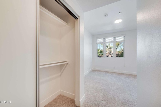 walk in closet featuring carpet floors