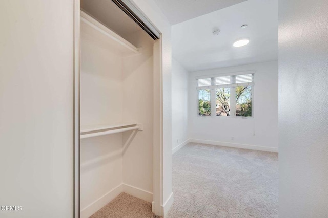 walk in closet featuring carpet