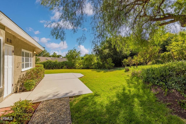 view of yard featuring a patio area