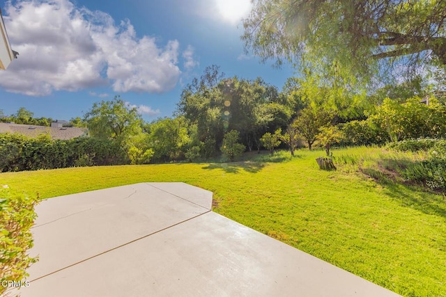 view of yard with a patio