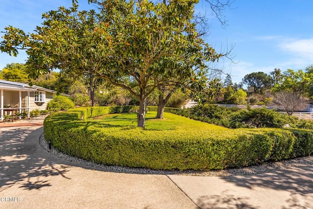 view of community featuring a yard and concrete driveway