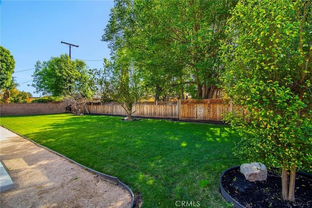 view of yard featuring a fenced backyard