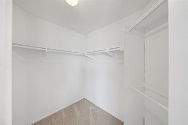 40115 Starling St, Temecula, CA 92591 - walk in closet with carpet flooring