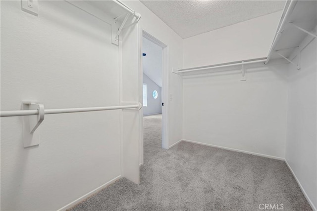 spacious closet featuring carpet flooring