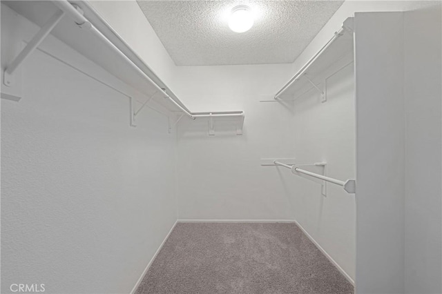 walk in closet featuring carpet