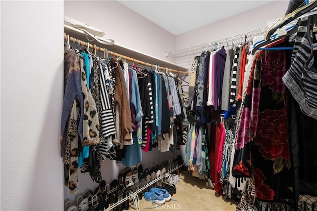 spacious closet with carpet flooring