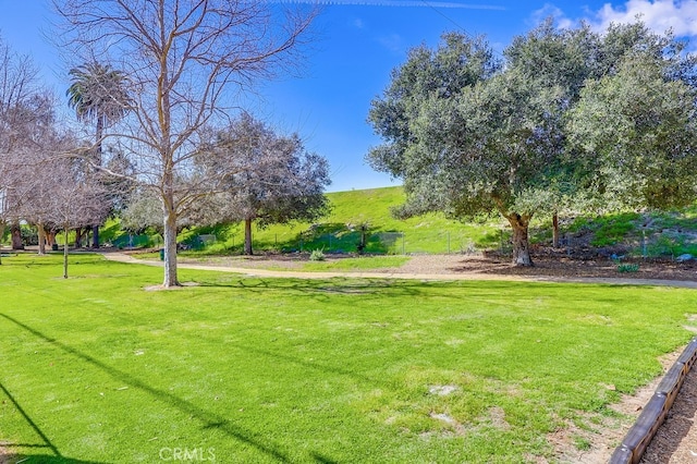 view of property's community featuring a lawn