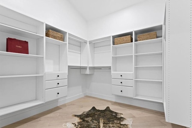 walk in closet featuring wood finished floors