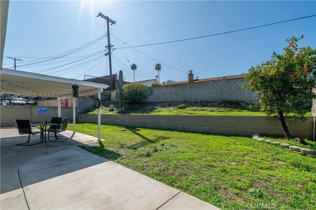 view of yard featuring a fenced backyard and a patio