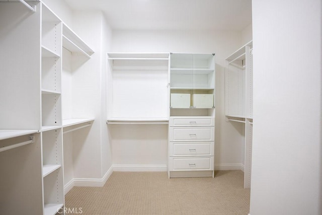 spacious closet featuring light colored carpet