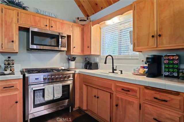 kitchen featuring vaulted ceiling, stainless steel appliances, a sink, and tile counters