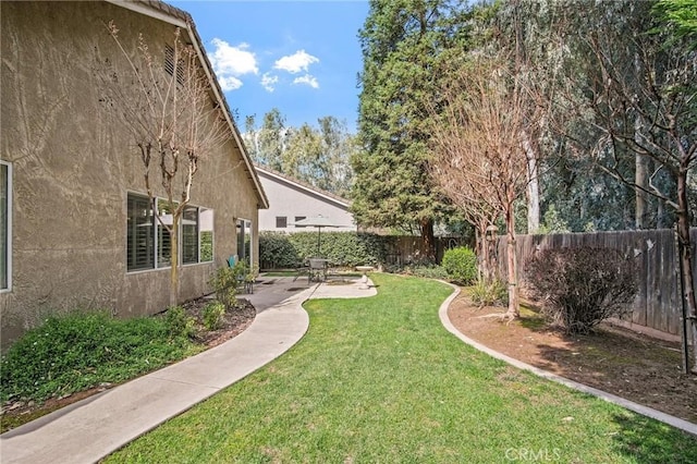 view of yard featuring a fenced backyard and a patio