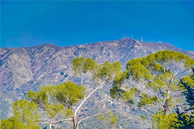 view of mountain feature