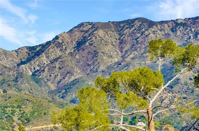 view of mountain feature