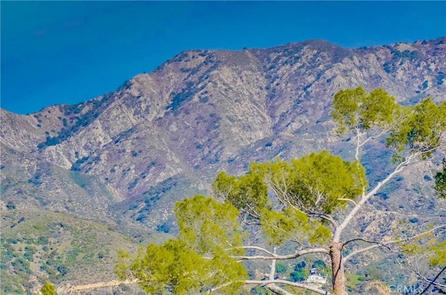 mountain view