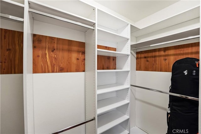 view of walk in closet