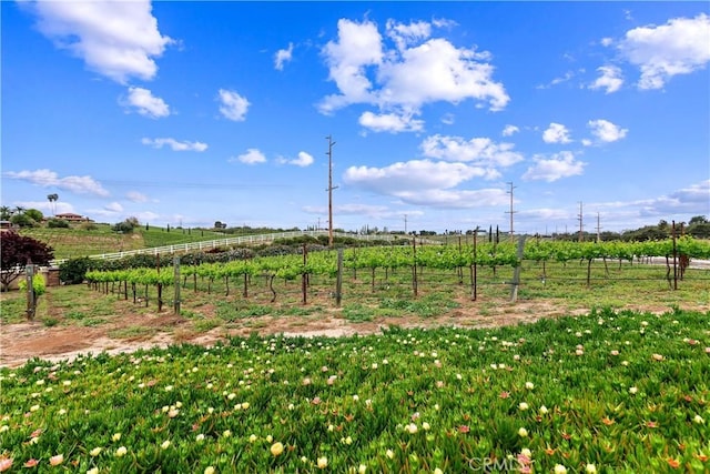 view of yard with a rural view and fence