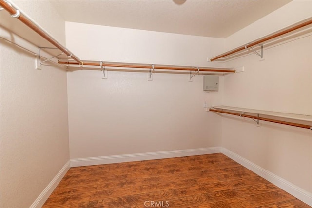 walk in closet featuring wood finished floors