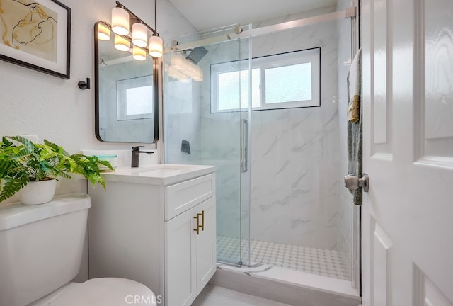 bathroom with a shower stall, vanity, and toilet