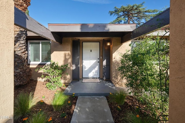 view of exterior entry with stucco siding