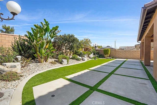 view of yard with a patio area and a fenced backyard