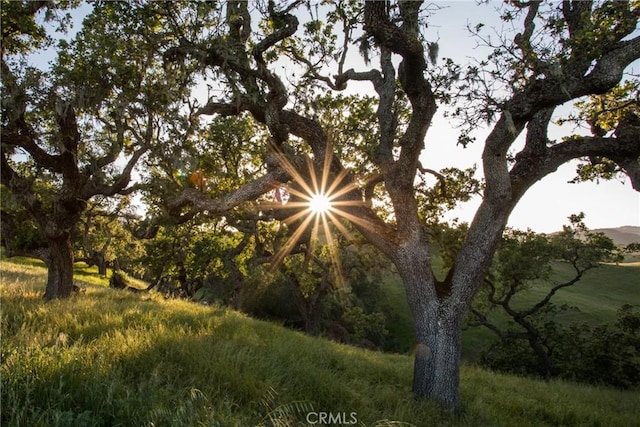 view of nature