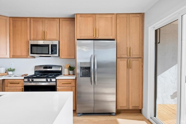 kitchen with light countertops, appliances with stainless steel finishes, and light wood-style floors