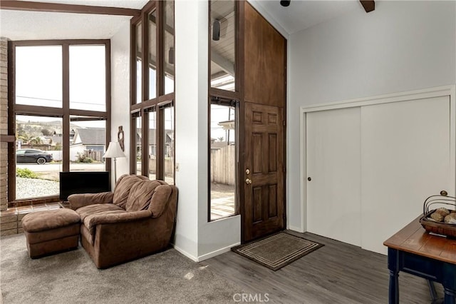 entrance foyer featuring baseboards, a high ceiling, and wood finished floors