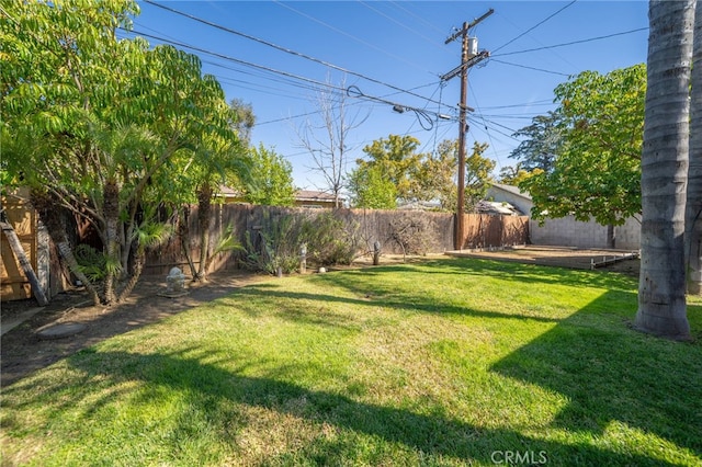 view of yard with a fenced backyard