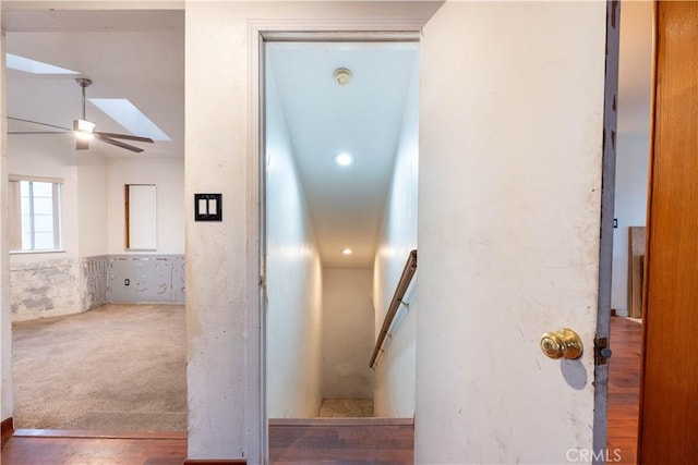 staircase with a ceiling fan, a skylight, elevator, and carpet