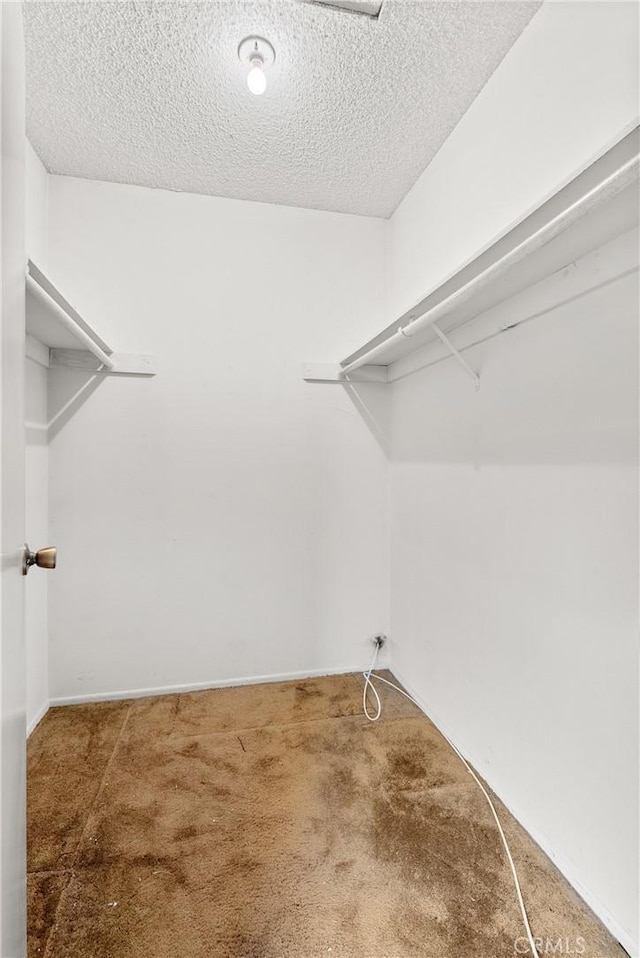 spacious closet featuring carpet floors