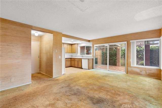 unfurnished living room with light carpet, a sink, and a textured ceiling