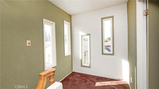 entrance foyer with carpet flooring