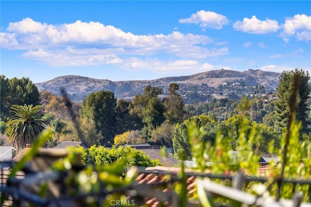 view of mountain feature