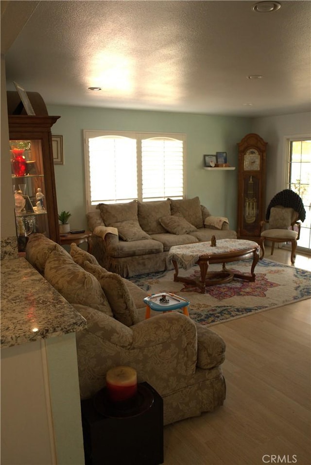 living area with a textured ceiling and wood finished floors