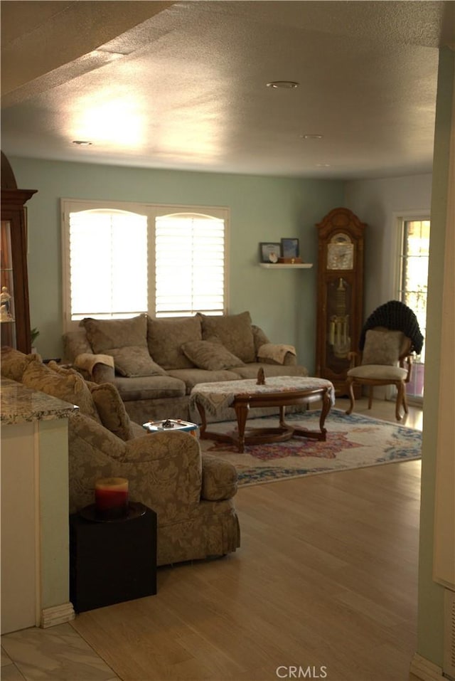 living area featuring a healthy amount of sunlight, light wood finished floors, and a textured ceiling