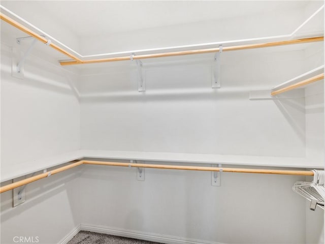 spacious closet with carpet flooring