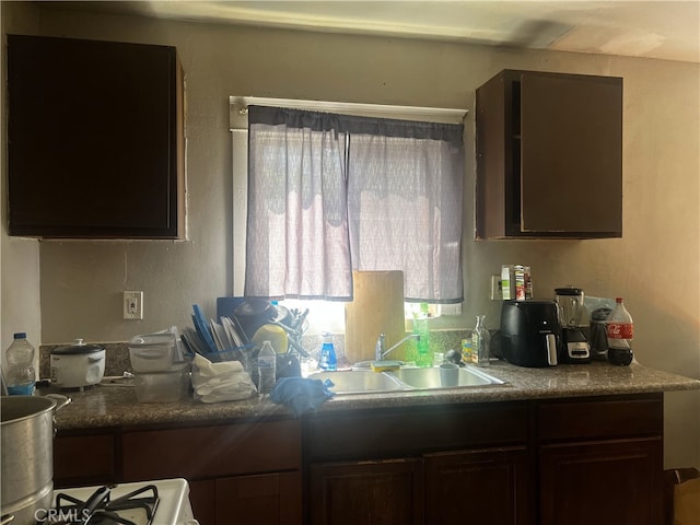 kitchen featuring a sink and dark brown cabinets