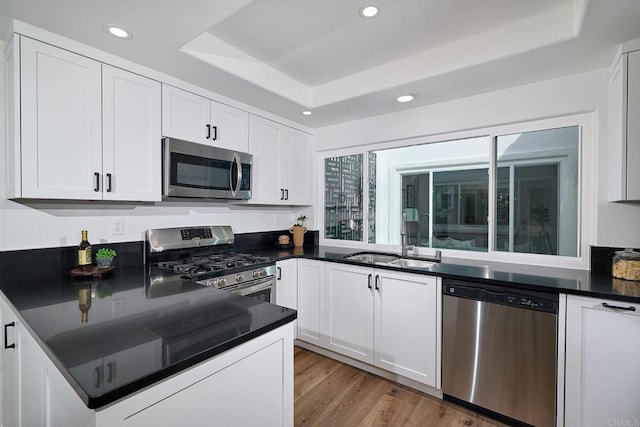 kitchen featuring dark countertops, a tray ceiling, stainless steel appliances, white cabinetry, and a sink