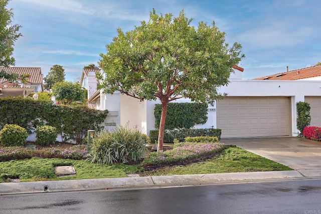 view of front of house with driveway, an attached garage, and stucco siding