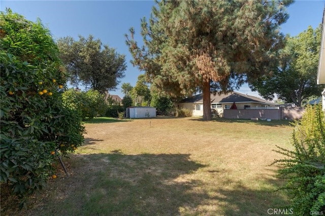 view of yard with an outbuilding and a shed