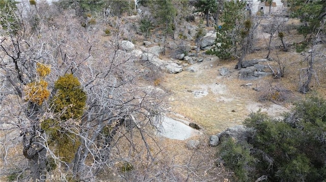 0 Bear Dr, Running Springs, CA 92382