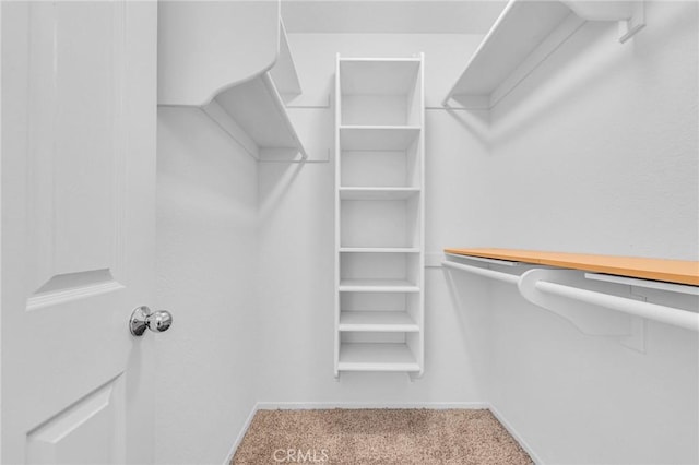 walk in closet with carpet and built in study area