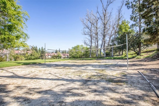 surrounding community featuring volleyball court