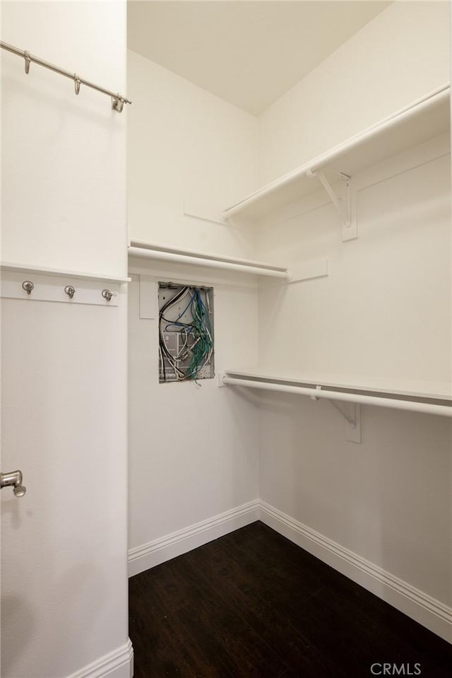 walk in closet featuring dark wood-style floors